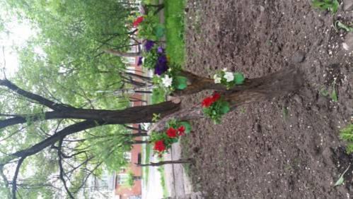 Гостиница Хостел Хабаровск B&B Хабаровск-48